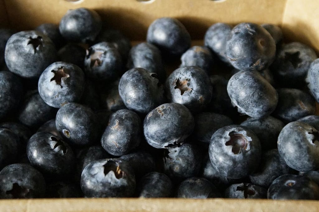 Top 5 Delicious Diet Tweaks for Vibrant Ageing